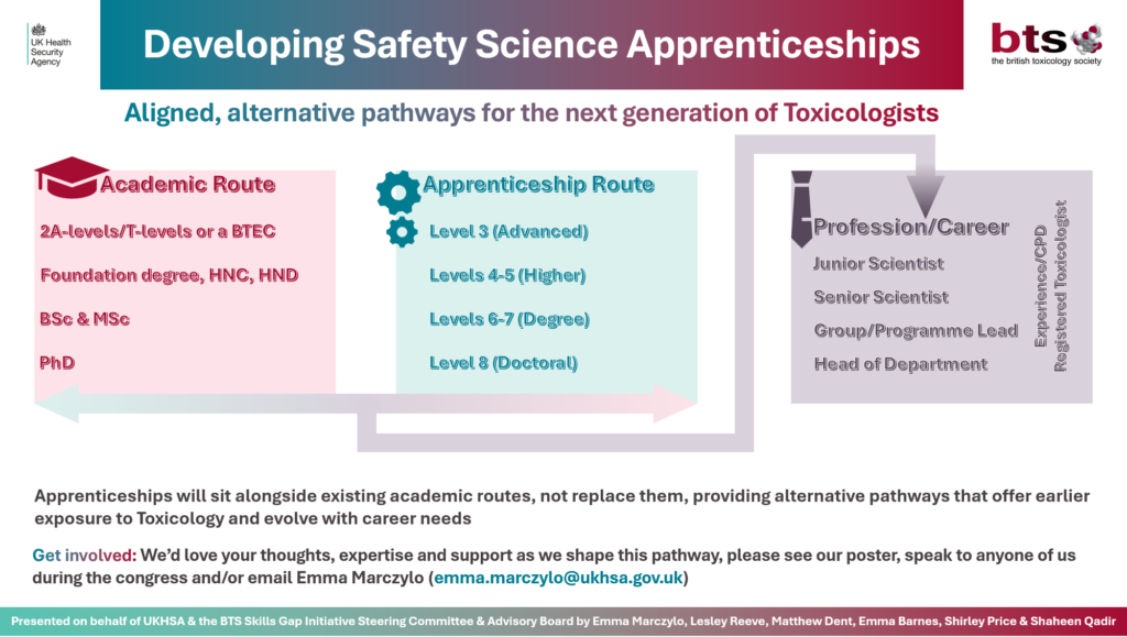 A summary of the details for the BTS apprenticeships scheme under their Skills Gap Initiative